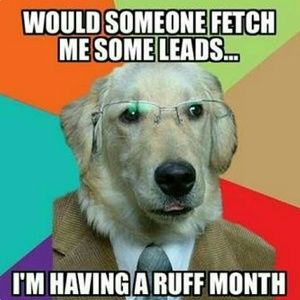 Gently used clothing